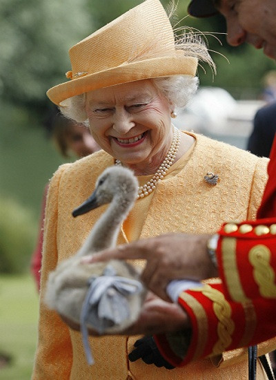 Bí quyết giữ được sức khỏe tuyệt vời ở tuổi 90 của Nữ hoàng Anh 