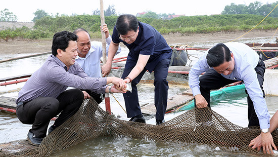Phó Thủ tướng Trịnh Đình Dũng: Doanh nghiệp hay bất kỳ ai làm nguy hại đến môi trường đều xử lý nghiêm
