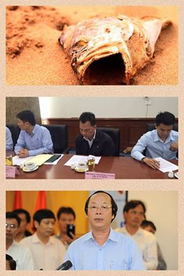 Ảnh hot sao Việt ngày 28/4: Sao Việt lên tiếng về việc cá chết hàng loạt