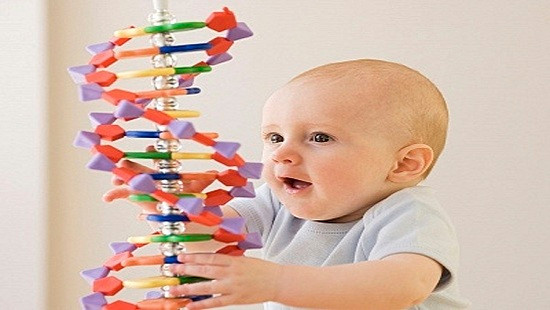 Di truyền – sự kết nối kỳ diệu từ bố mẹ sang con cái
