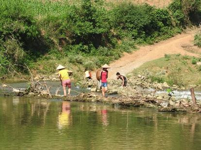 Nước sông chuyển màu, nhiều cá nhỏ chết dạt bờ Nước sông chuyển màu, nhiều cá nhỏ chết dạt bờ