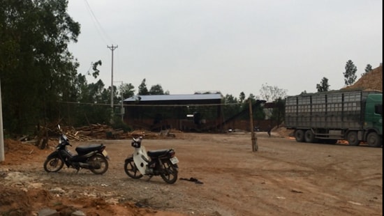 Thanh Hóa: Loạn sản xuất gỗ dăm trái phép và câu chuyện trách nhiệm