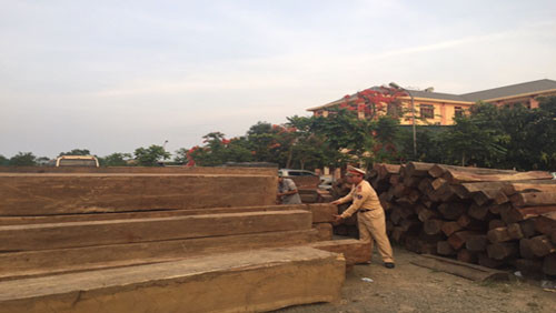 Bắt vụ vận chuyển số lượng lớn gỗ quý hiếm  