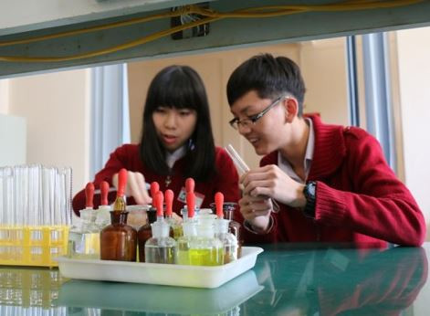 Hai học sinh Việt Nam đạt giải quốc tế với nghiên cứu tiêu diệt tế bào ung thư