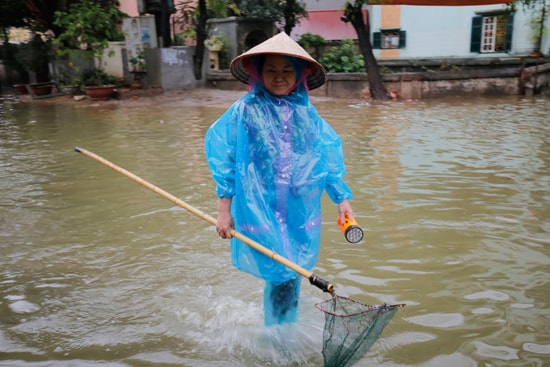 Hà Nội: Đường biến thành sông, người dân đổ ra đường bắt cá