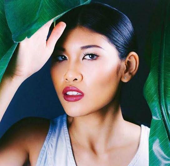 Người mẫu Mỹ gốc Việt thi hoa hậu Bản sắc Việt để kiếm tiền tặng trẻ mồ côi