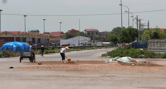 Thanh Hóa: Mùi cá chết nồng nặc bủa vây khu kinh tế Nghi Sơn