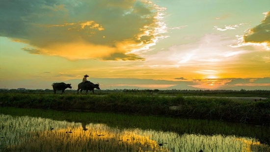 Nhớ mùa hè quê mẹ