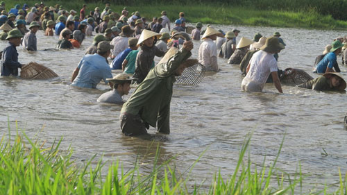 Đặc sắc lễ hội đánh cá Đồng Hoa