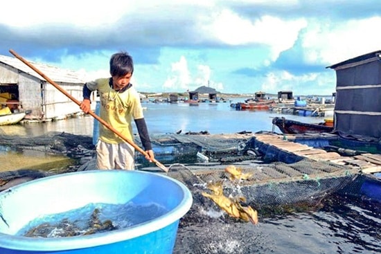 Tiếp nhận, xử lý thông tin: Trách nhiệm và cái tâm của người cầm bút