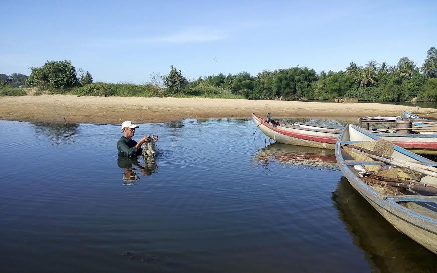 Cá sông chết hàng loạt do thiếu oxy hòa tan