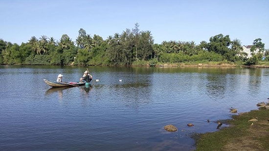 Cá sông chết hàng loạt do thiếu oxy hòa tan