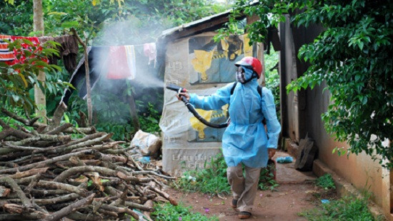 Hà Nội: 50.000 hộ dân được phun hóa chất diệt muỗi 