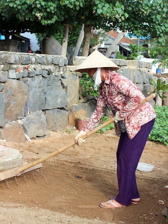 Bi hài nghề 