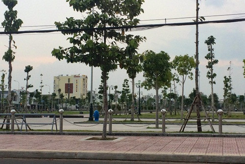 Sự “ưu ái” của tỉnh Bình Thuận với Tập đoàn Rạng Đông: Những uẩn khúc cần được làm sáng tỏ