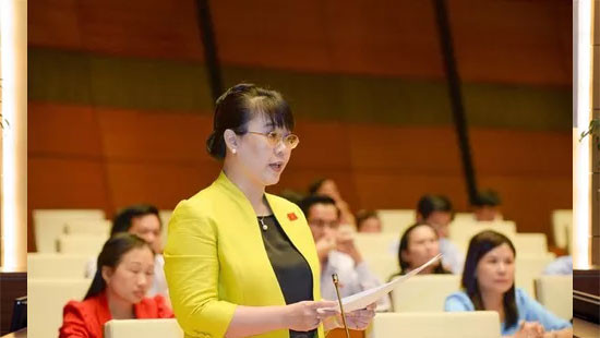 Bỏ phiếu kín không xác nhận tư cách ĐBQH khóa XIV đối với bà Nguyễn Thị Nguyệt Hường