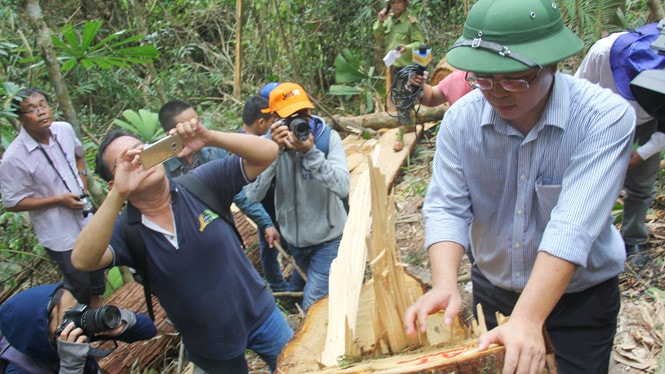 Thủ tướng giao Bộ Công an chủ trì điều tra vụ phá rừng pơ mu tại Quảng Nam