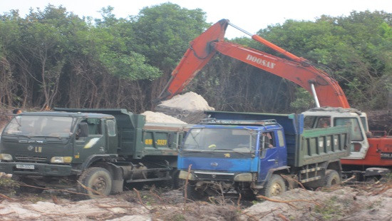Quan Lạn - Quảng Ninh: Doanh nghiệp phá rừng để khai thác cát, chính quyền dửng dưng?