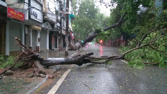 Bão quét tới Hà Nội: Gió giật mạnh, cây cối, xe máy đổ hàng loạt