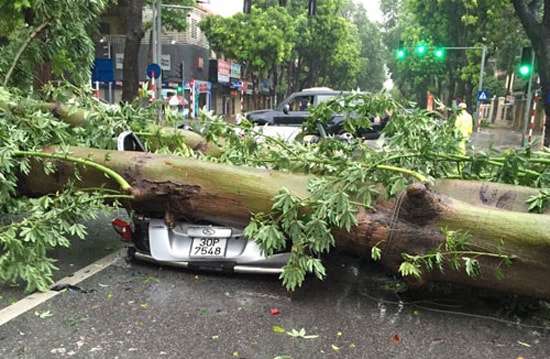 Bão quét tới Hà Nội: Gió giật mạnh, cây cối, xe máy đổ hàng loạt