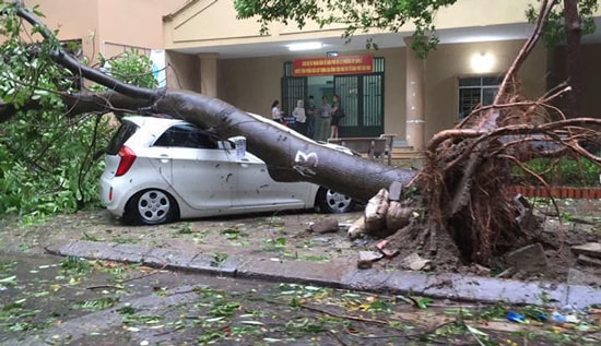 Bão quét tới Hà Nội: Gió giật mạnh, cây cối, xe máy đổ hàng loạt