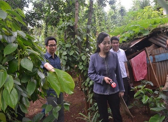 Phó Thủ tướng Vũ Đức Đam kiểm tra tình hình dịch sốt xuất huyết tại Đắk Lắk