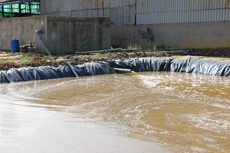 Nước thải sản xuất vàng mã chảy ra sông, khiến cá chết hàng loạt