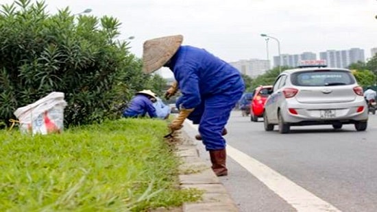 Hà Nội chi 53 tỷ đồng cắt cỏ đại lộ Thăng Long: Cỏ vẫn um tùm, lương công nhân 