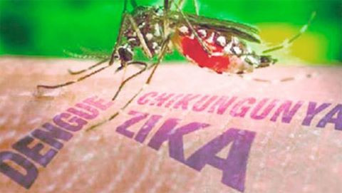 Một trường hợp mới nhiễm virus Zika không do đi du lịch ở bang Florida (Mỹ) 
