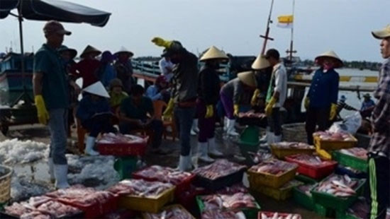 VASEP kiến nghị hỗ trợ DN & ngư dân 4 tỉnh miền Trung