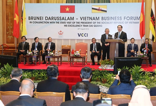 Chủ tịch nước dự diễn đàn doanh nghiệp và kết thúc chuyến thăm Brunei
