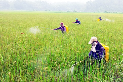 MIT đưa dòng điện vào thuốc trừ sâu giúp cải thiện hiệu quả