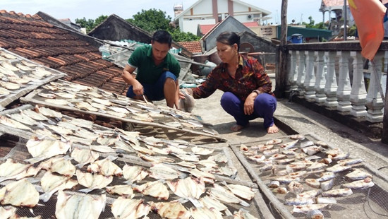 Thanh Hóa: Cá chết hàng loạt ở Tĩnh Gia do thủy triều đỏ
