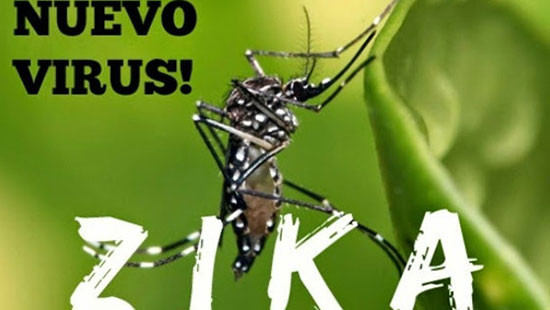 Một phụ nữ Việt Nam nhiễm vi rút Zika được phát hiện tại Tokyo 