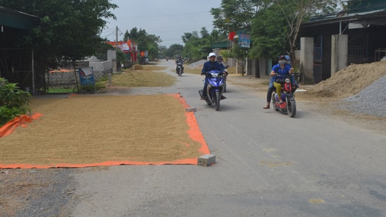 Nghệ An: Người dân biến đường thành “sân phơi lúa”