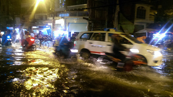 TP.HCM: Tiếp tục mưa lớn, cây đổ đè vào nhiều ô tô