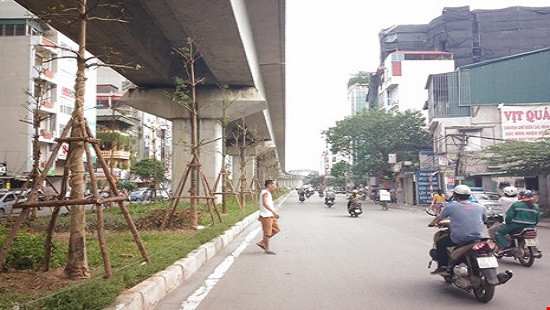 Hà Nội: Trồng cây xanh dưới gầm đường sắt trên cao