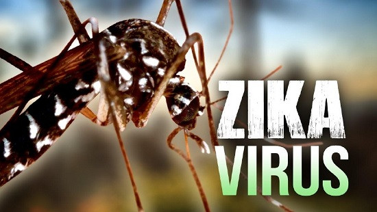 Việt Nam ghi nhận thêm 2 trường hợp nhiễm mới vi rút Zika 