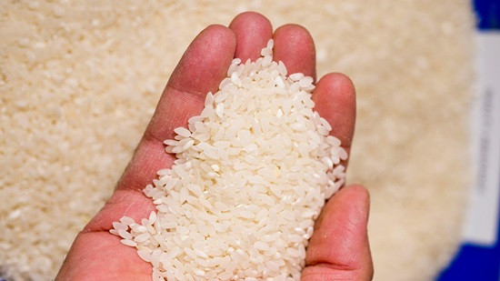 Gạo Việt bị trả về: Lời cảnh báo trước nguy cơ mất thị trường
