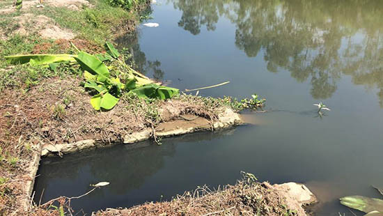 Huyện Vĩnh Bảo, Hải Phòng: Dân sống trong lo âu vì nước thải từ CCN Tân Liên