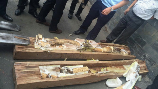 700 kg ngà voi ngụy trang trong gỗ ở cảng Cát Lái 