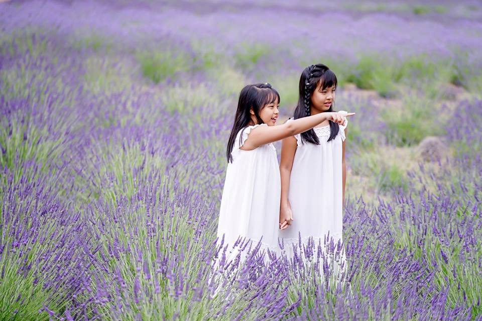 Gia đình Minh Khang, Thúy Hạnh hạnh phúc bên cánh đồng hoa oải hương
