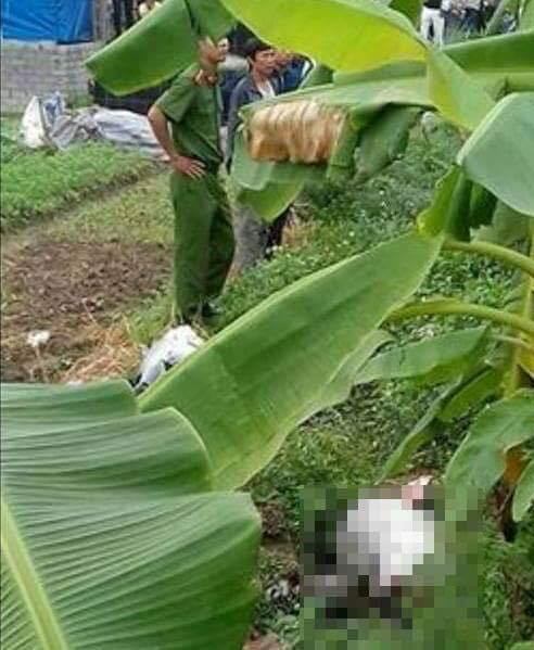 Bắc Giang: Phát hiện thi thể cô gái gần nghĩa trang
