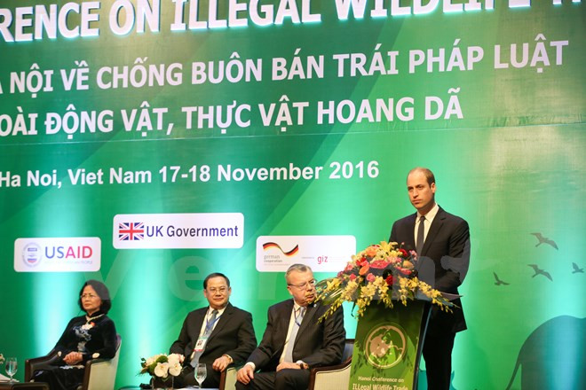 Hoàng tử Anh: Cần bước tiến mạnh mẽ hơn chống tội phạm buôn bán động, thực vật hoang dã 