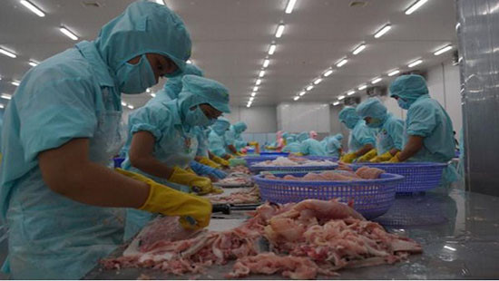 Trung Quốc có thể trở thành thị trường nhập khẩu cá tra lớn nhất Việt Nam