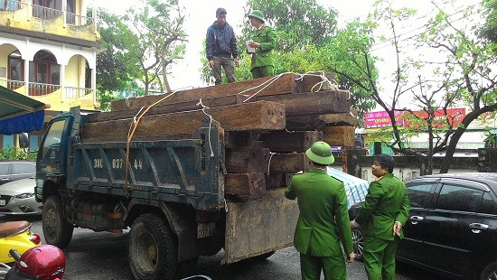 Quảng Bình: Bắt giữ hơn 5m3 gỗ quý không rõ nguồn gốc