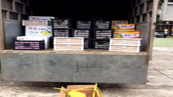 Nghệ An: Hơn 1 tấn rau, quả không rõ nguồn gốc bị bắt giữ trên xe tải