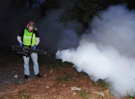 TP.HCM: Áp dụng phun xịt hóa chất diệt muỗi mới đối phó Zika