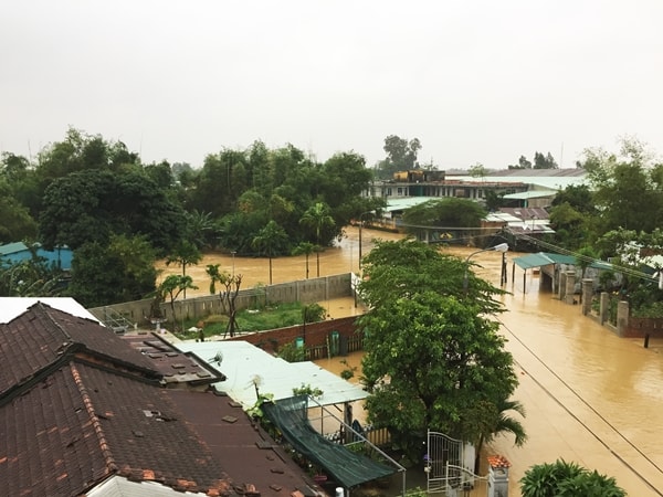 Bị điện giật tử vong trong lúc bắt heo dọn lũ