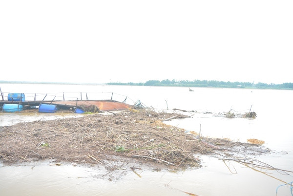 Quảng Nam: Cầu phao của “kỹ sư hai lúa” bị lũ cuốn trôi